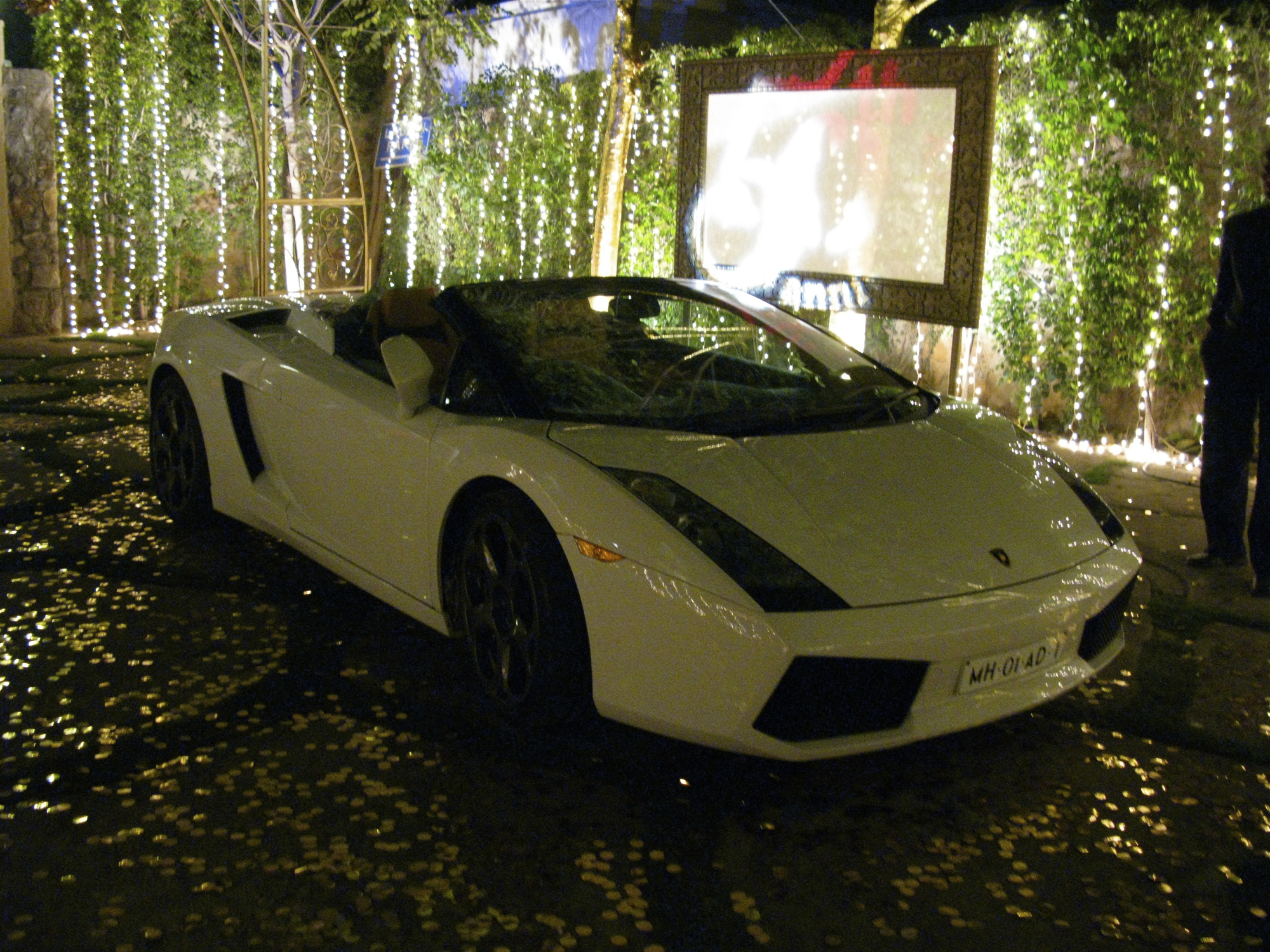 Vip Delites Night Life