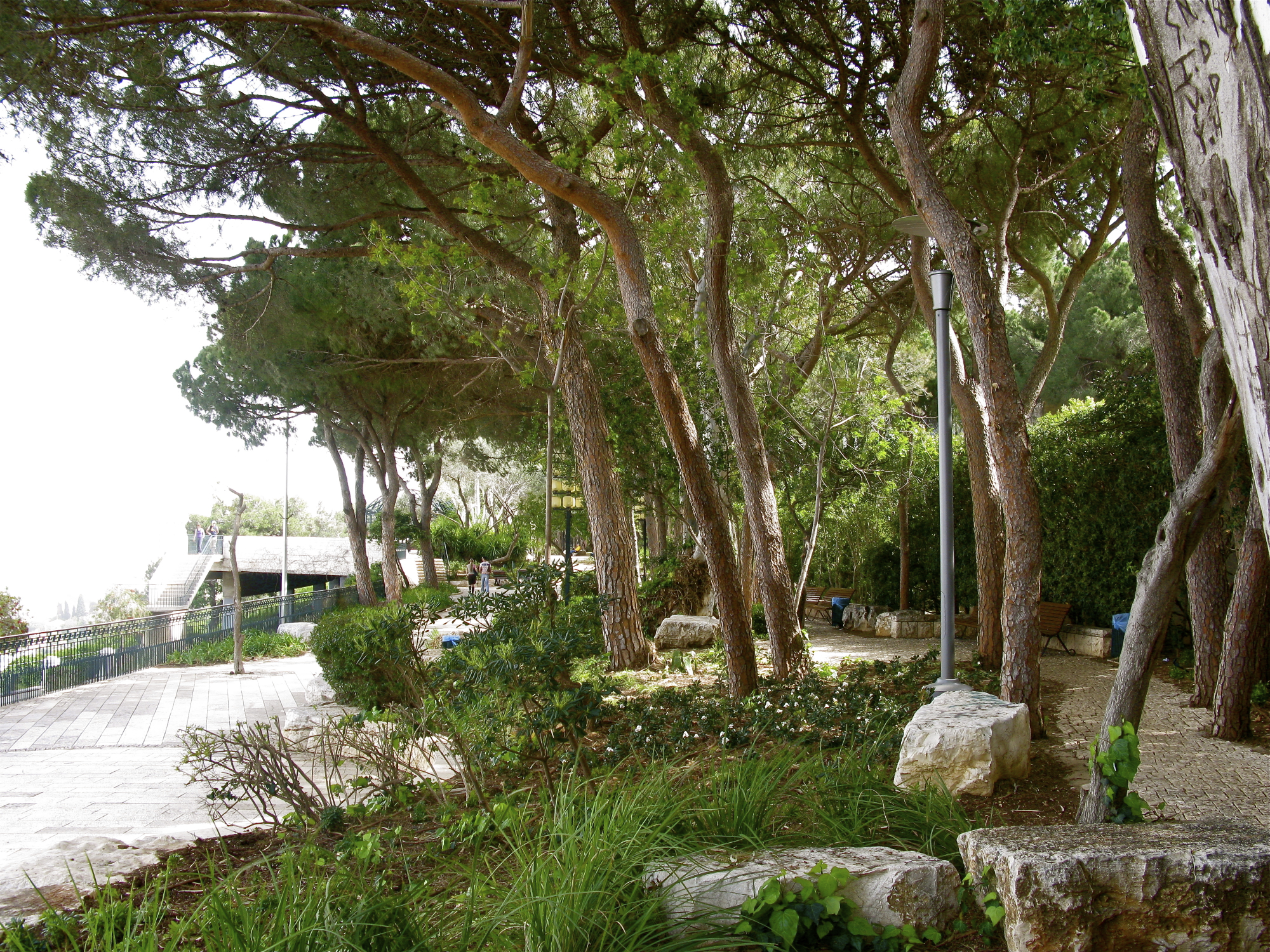 Nostalgic Haifa-Glam