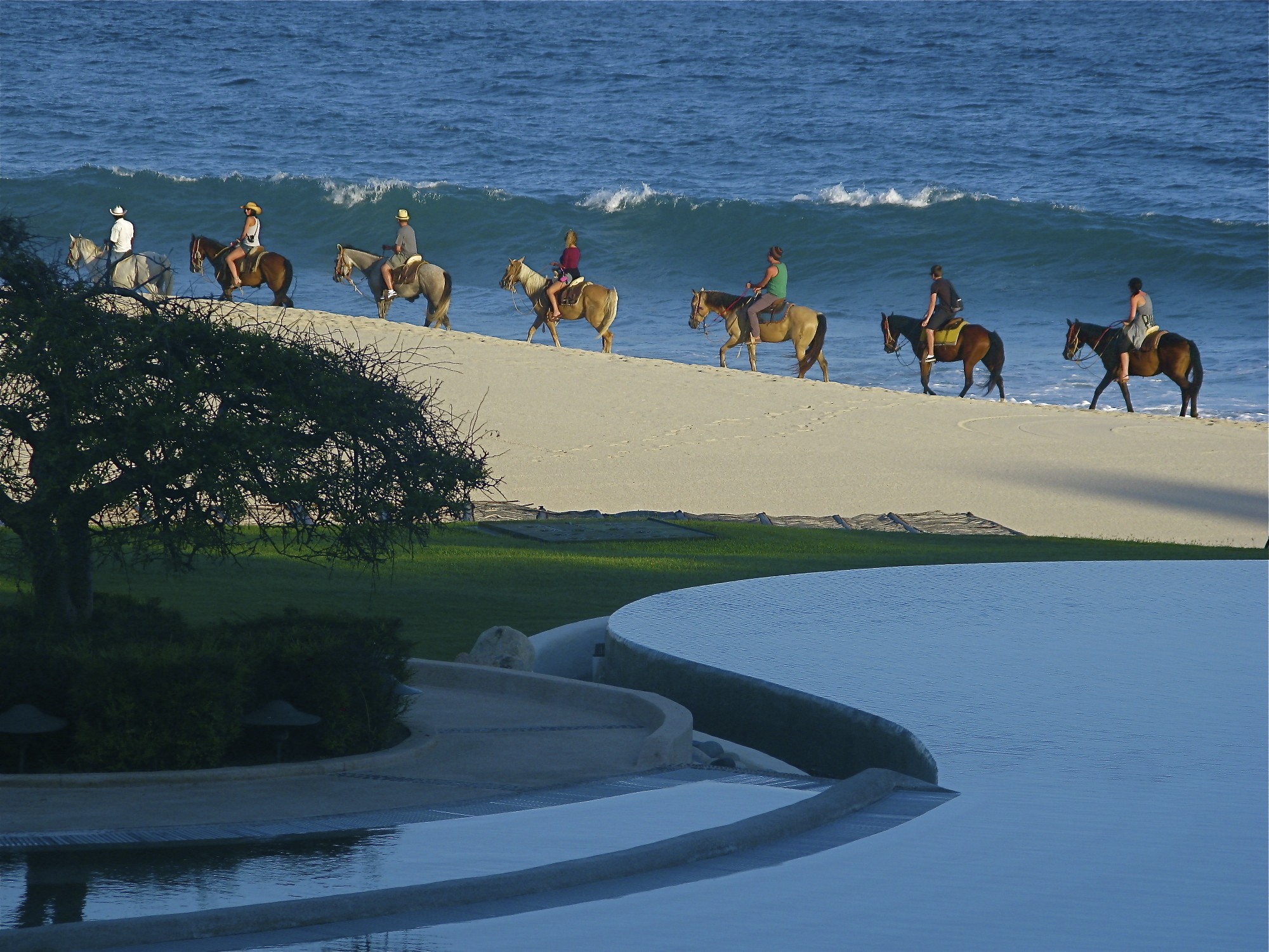 Horseback riding , Los Cabos Leaving Paradise
