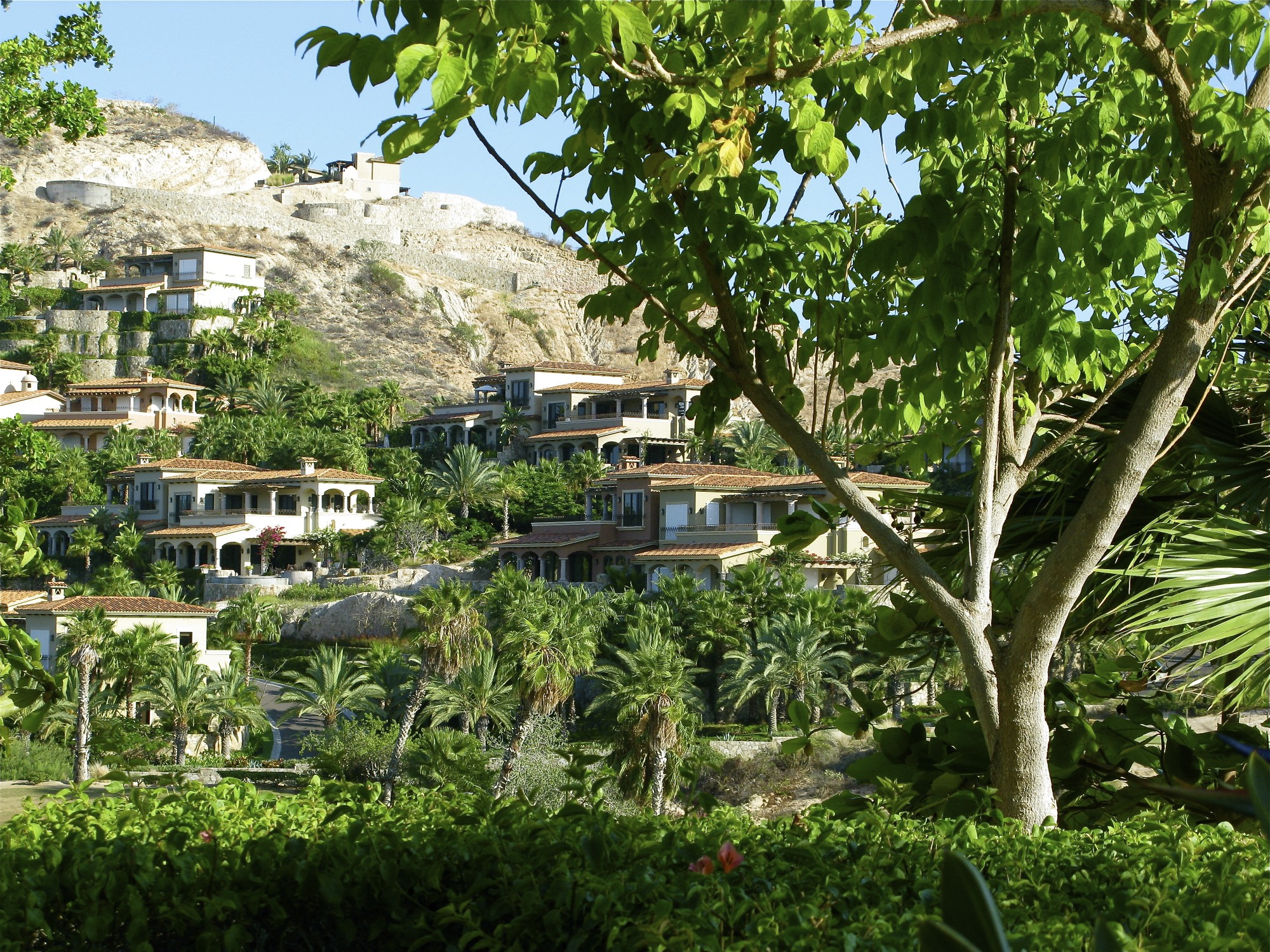 IMG_4823 Querencia and Palmilla