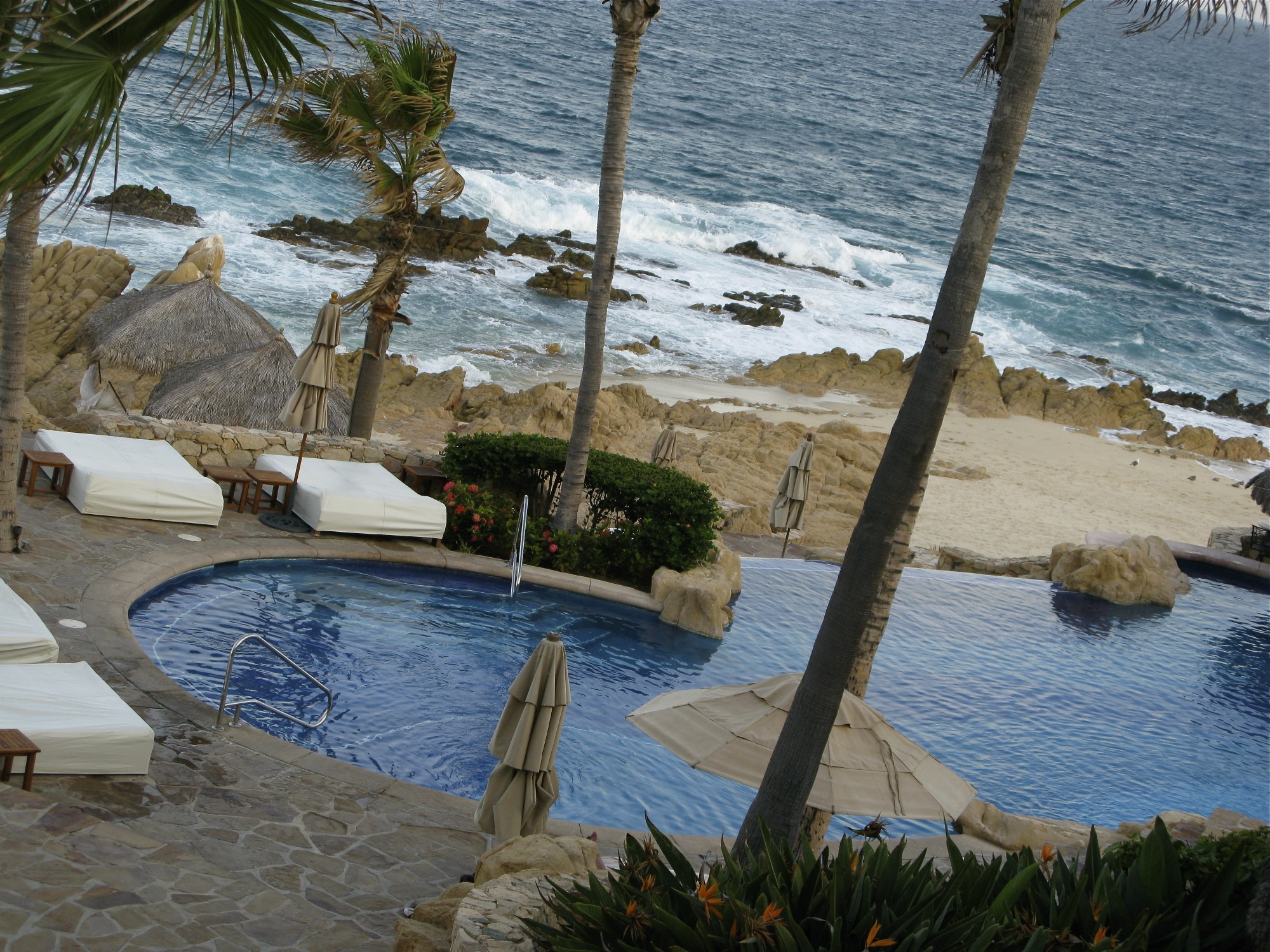 IMG_4900 Querencia and Palmilla