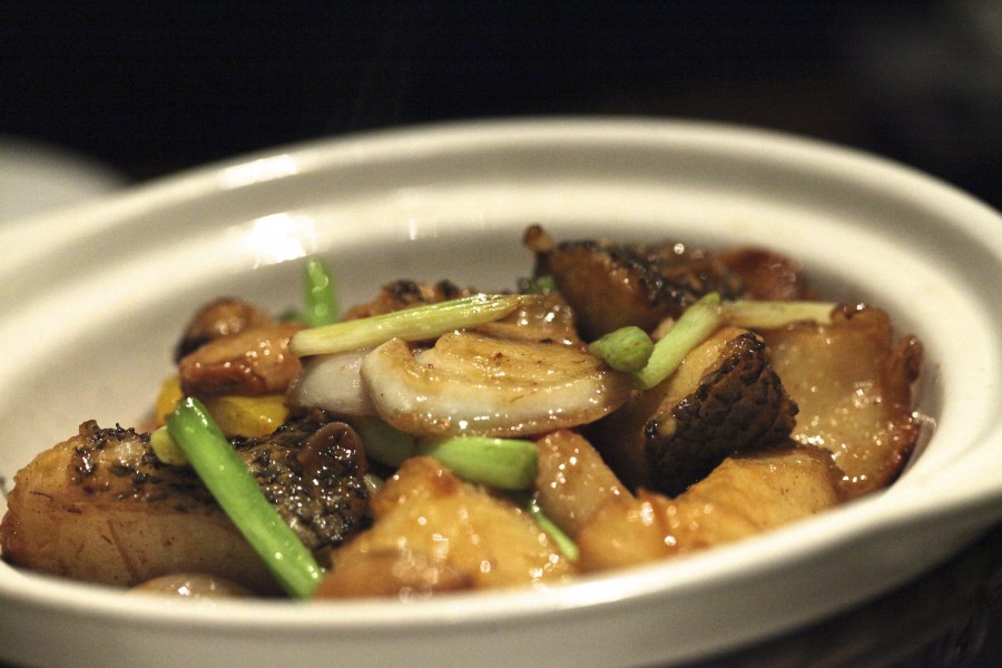 Peking Duck and Giant Grouper