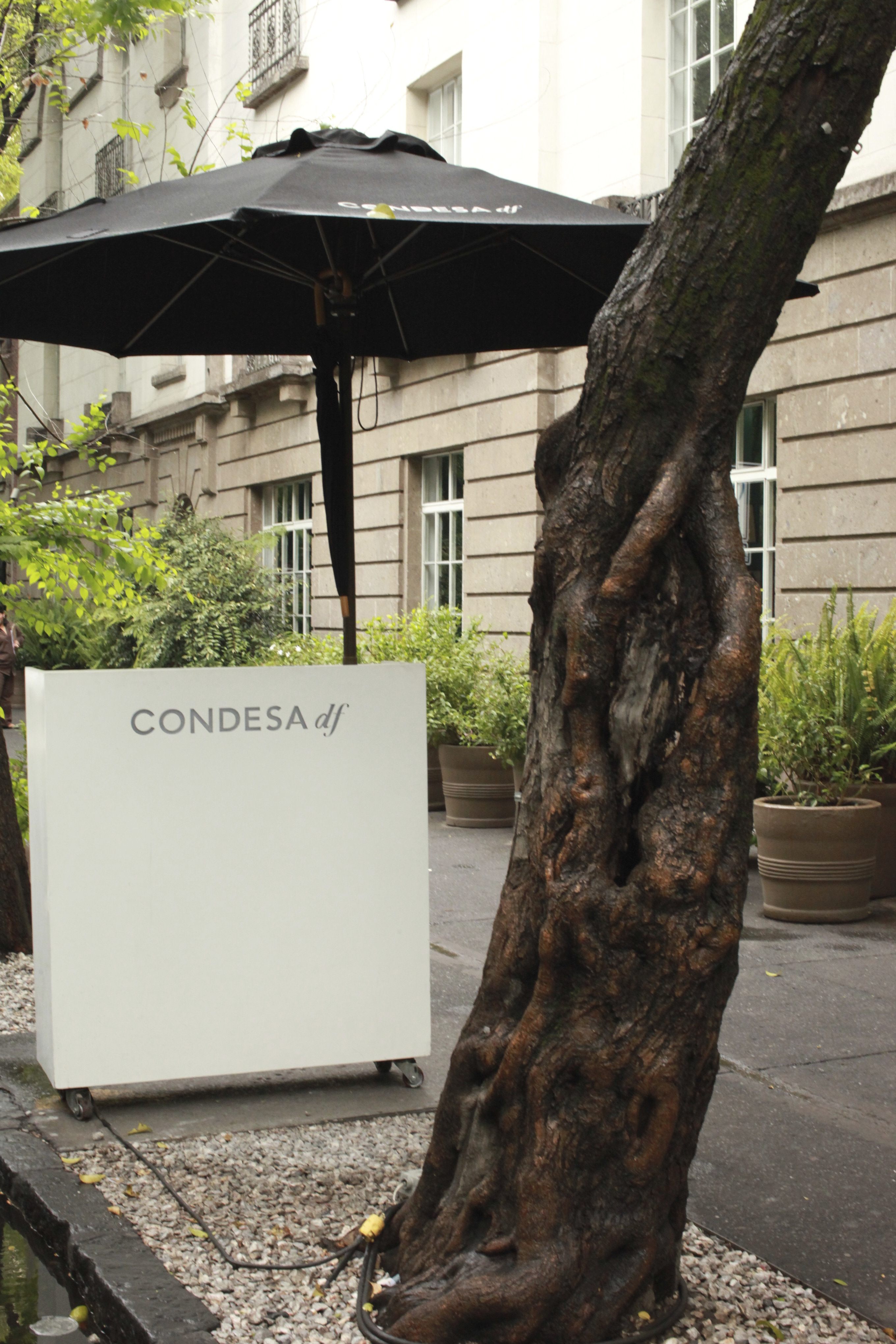 IMG_7111 Meet the Condesa Df