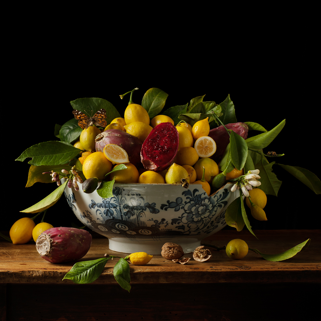 Lemons & Prickly Pears (from the series Natura Morta), 2013