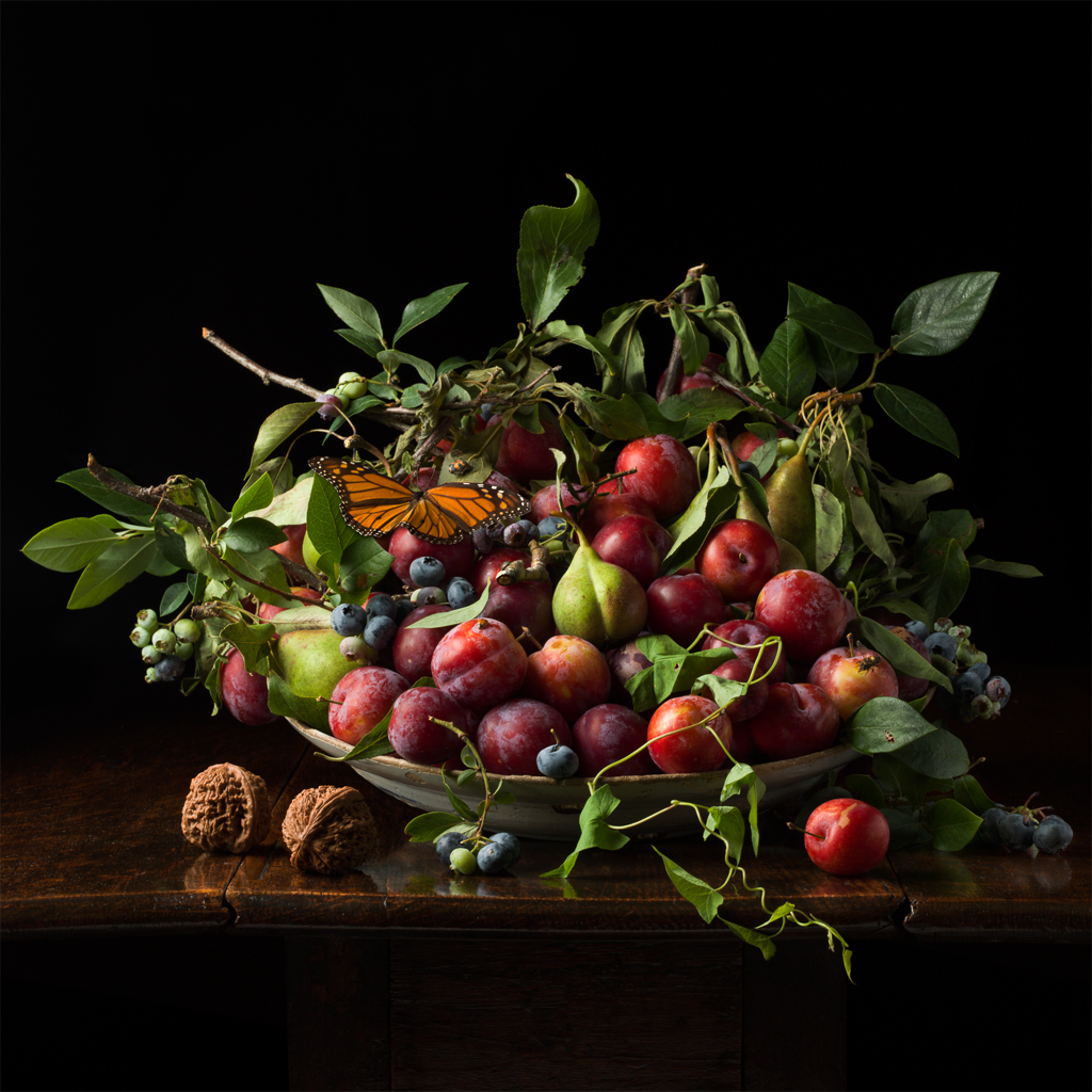 Plums and Chinese Walnuts, after G.G. (from the series Natura Morta), 2013