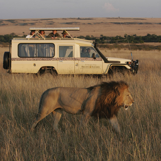 201212-b-african-safari