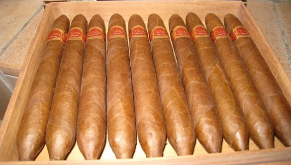 image Which Cuban Cigar should I buy?