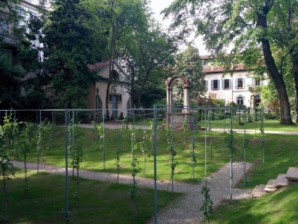 When this will be over destination: Casa degli Atellani -Leonardo’s Vineyard